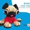 Barry the Pug Barry the Pug
