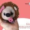 Baby Porcupine